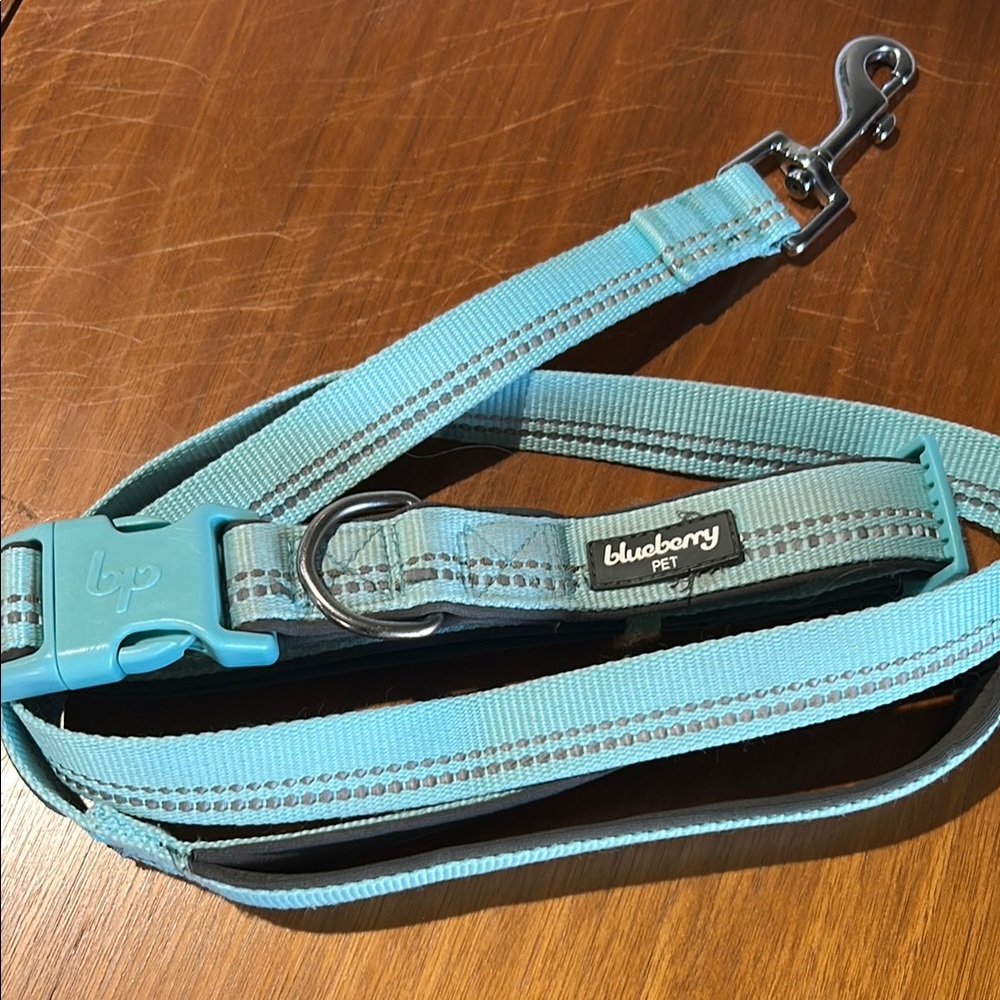 Dog Leash and Collar - Picture 4 of 5